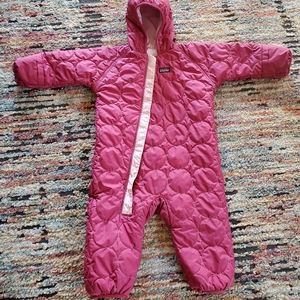 Patagonia puffball bunting